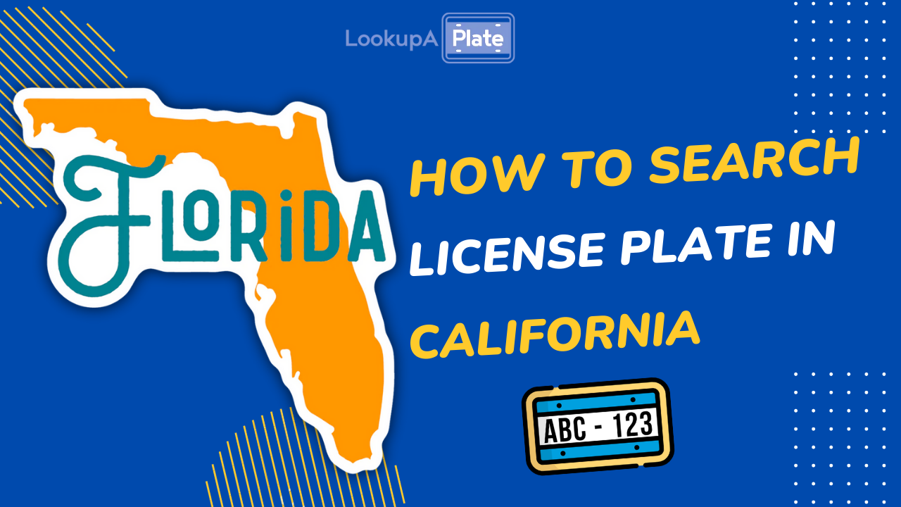How to search a license plate in florida