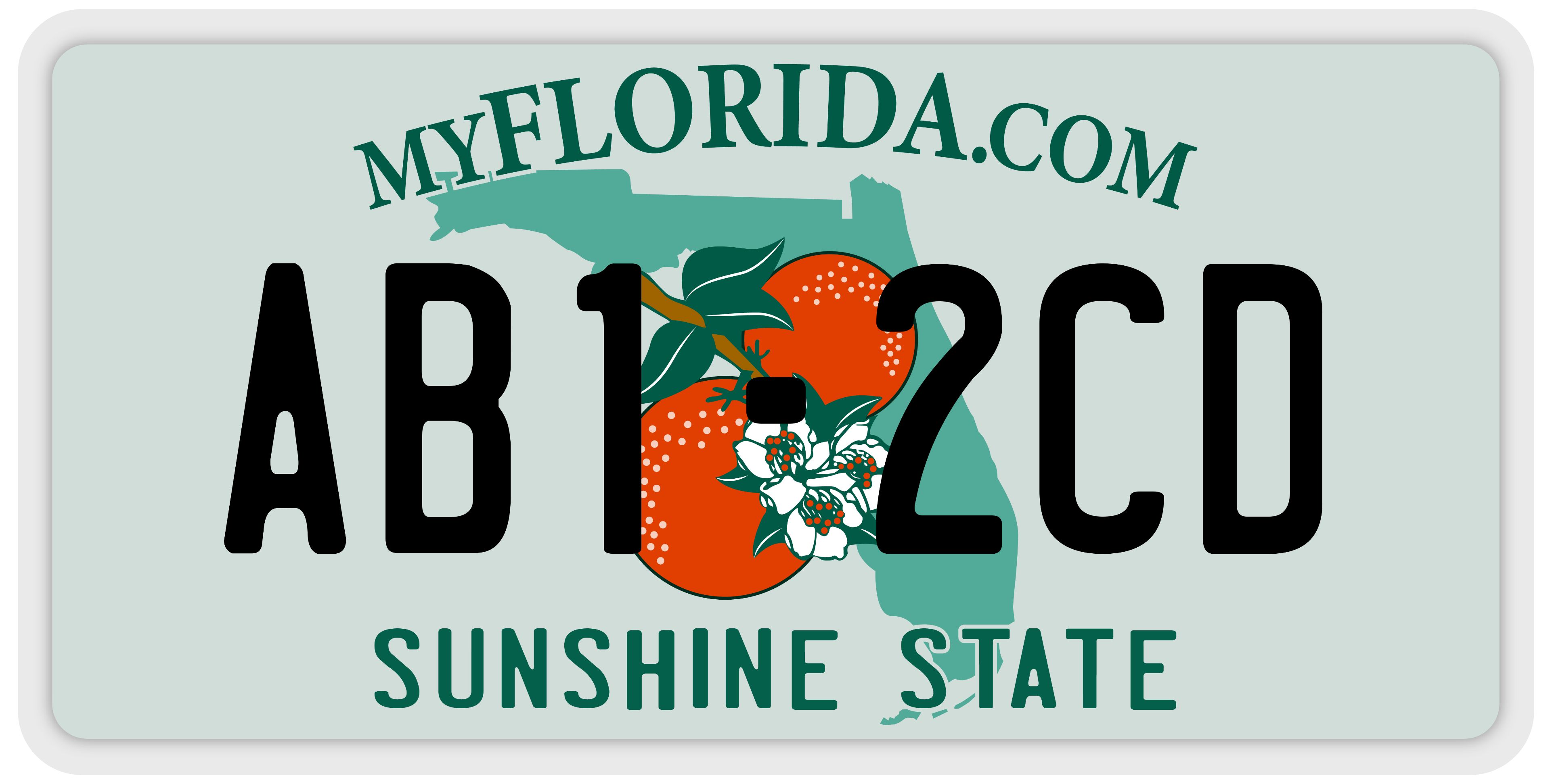 Florida License Plate Lookup Report a FL Plate (Free Search)