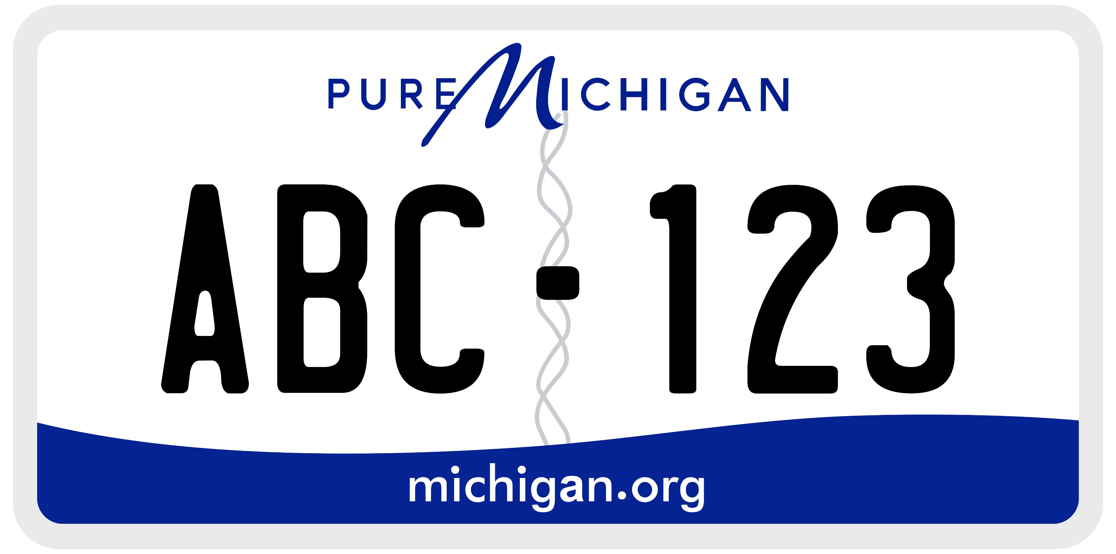 Michigan License Plate Sample