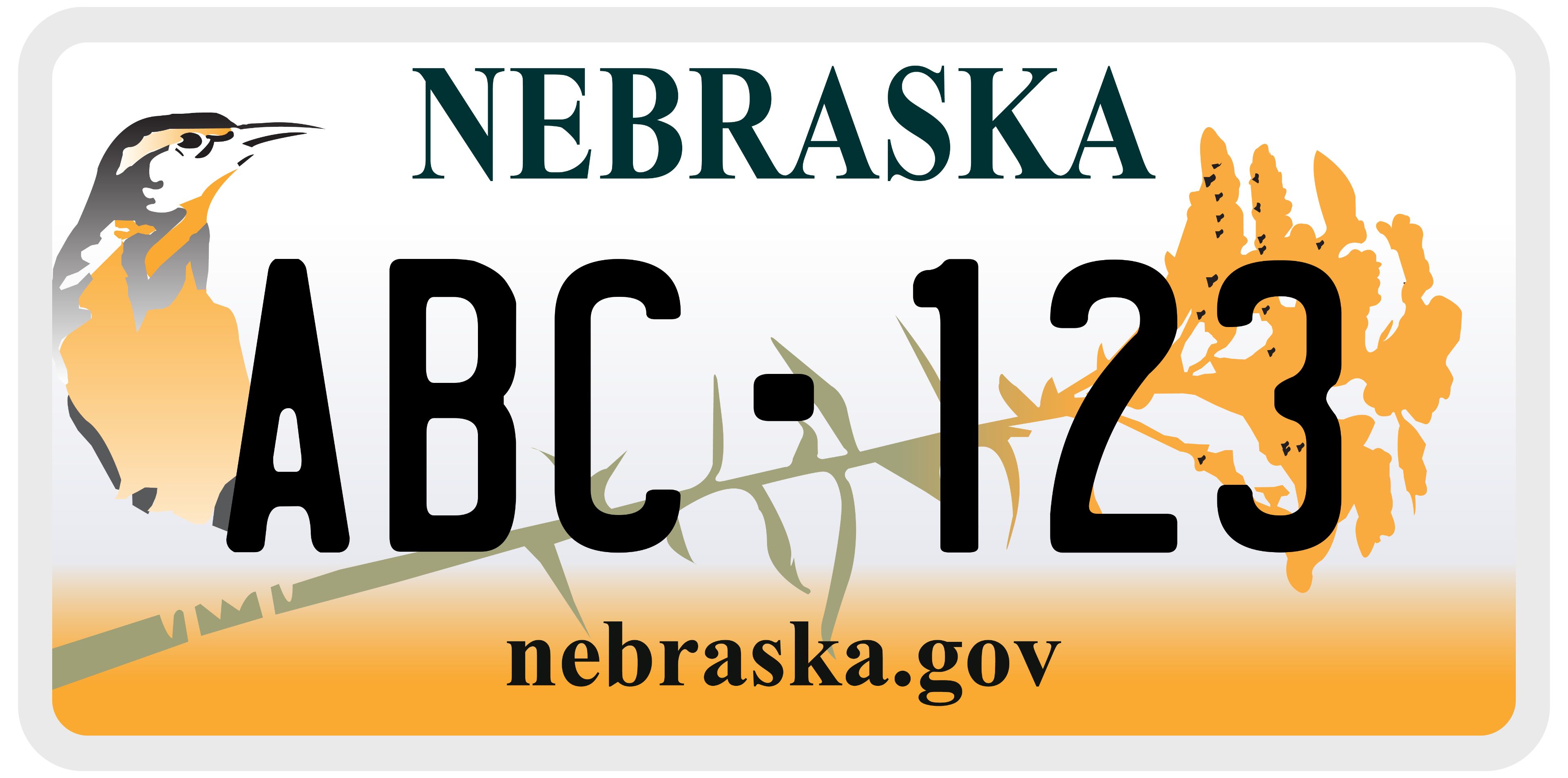 Nebraska License Plate Sample