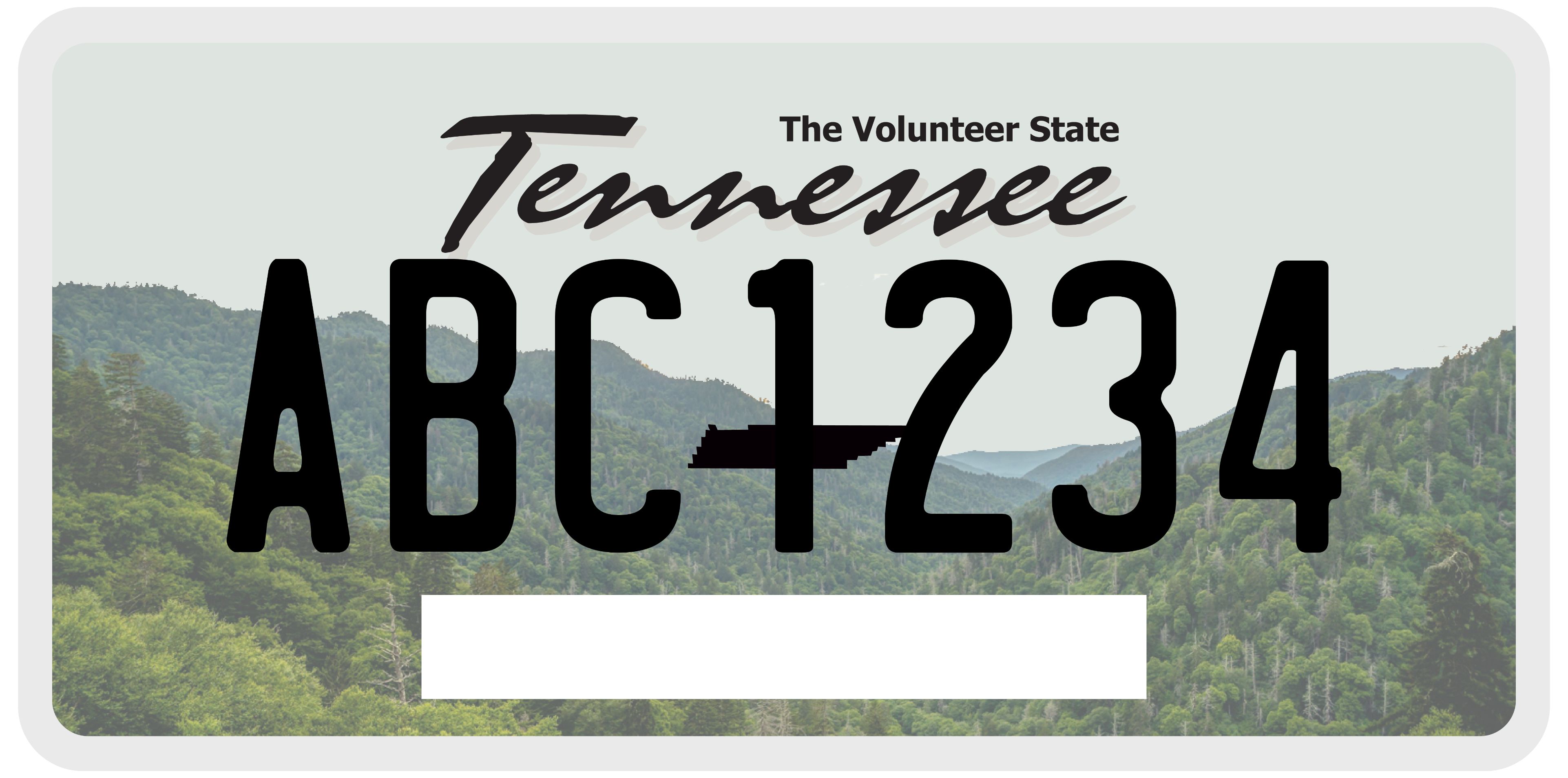 what does a Tennessee license plate look like?