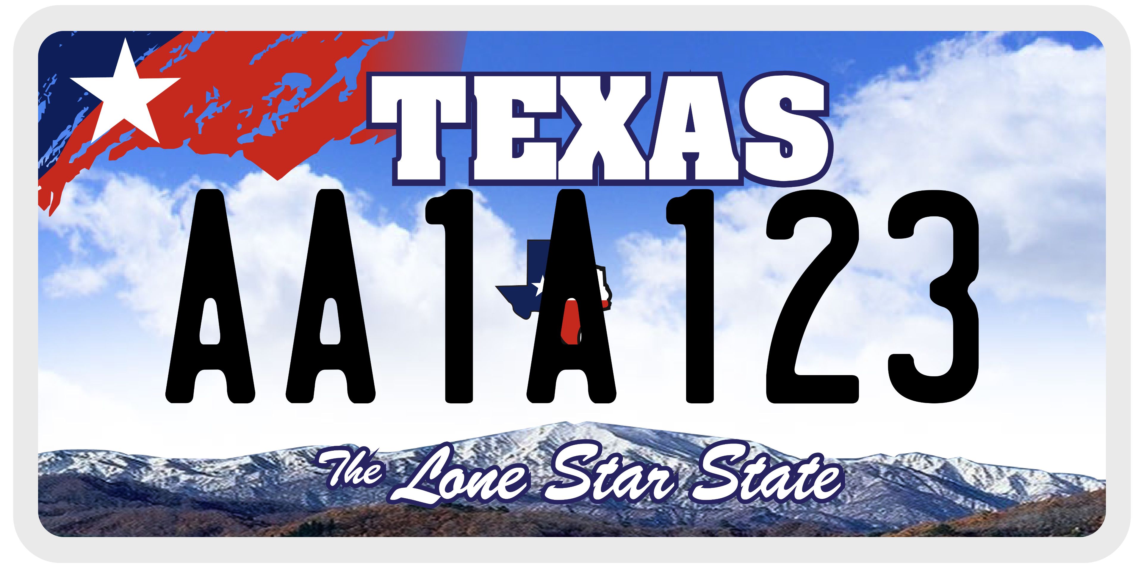 what does a standard texas license plate look like?